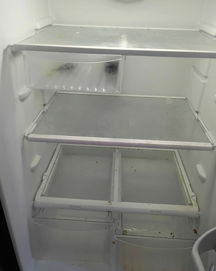 Before: Refrigerator deep clean