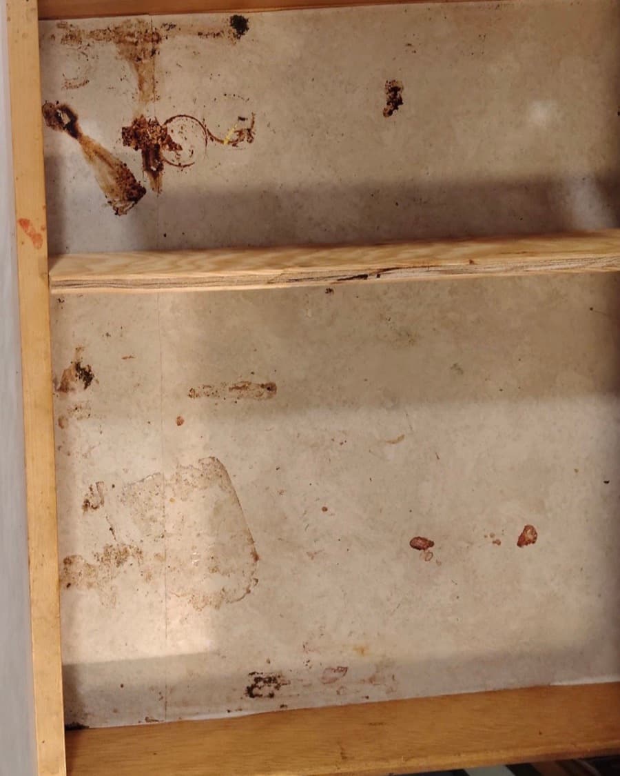 Before: Cabinet interior detail